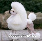    -   -    - Doggrumer salon, 